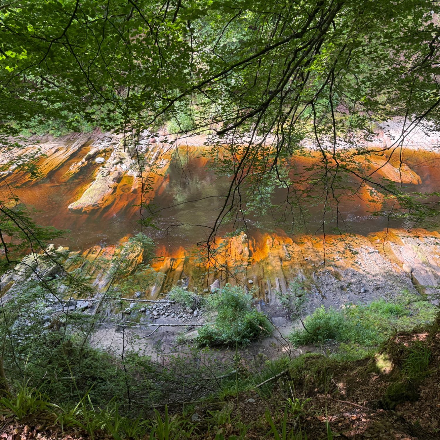 Pebble within sandstone Pebble captured within sandstone